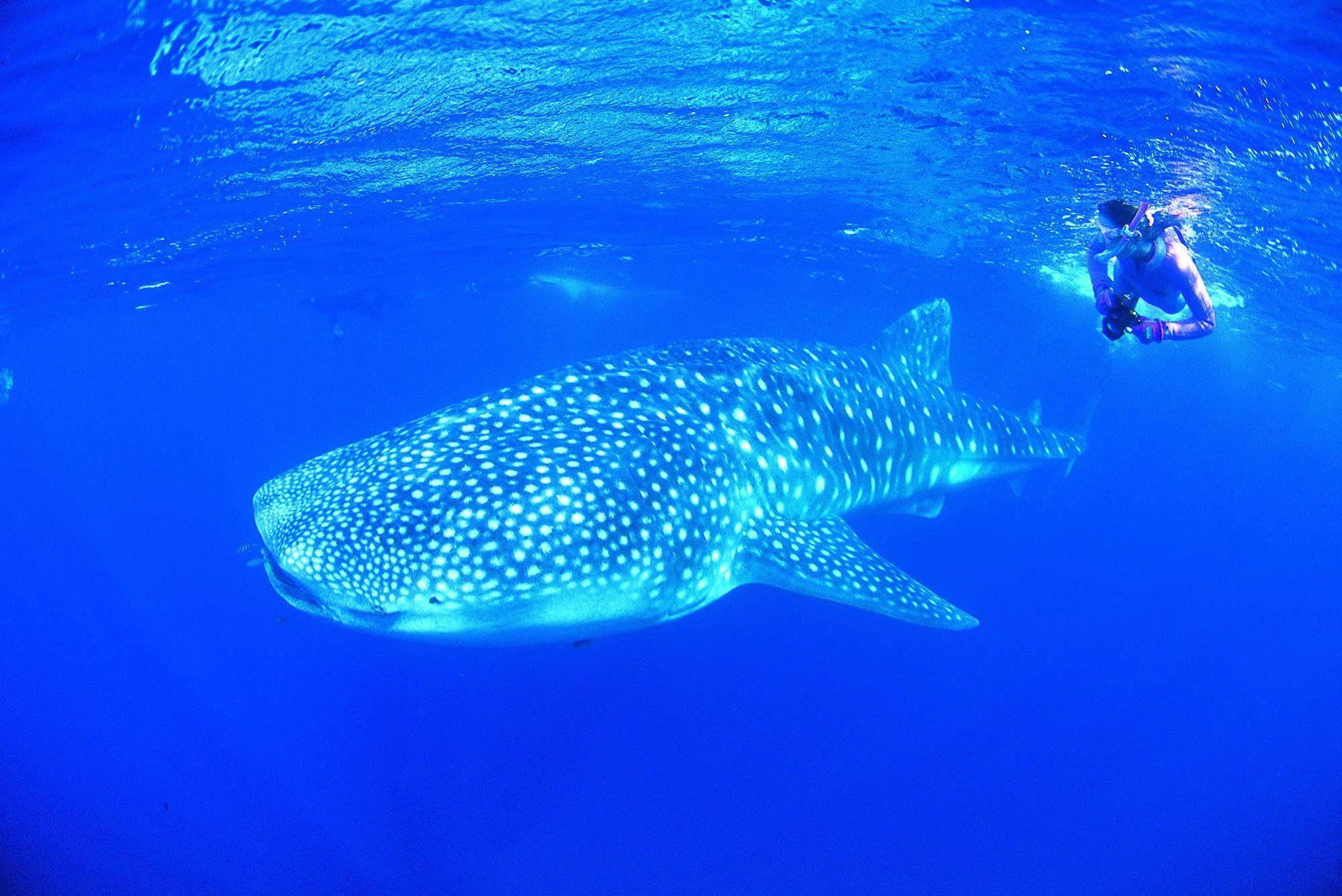 Ningaloo Reef Resort คอรัลเบย์ ภายนอก รูปภาพ